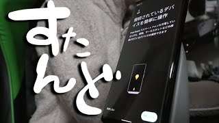 梅雨だからかたつむり見たら優しくしてね【でんでん】