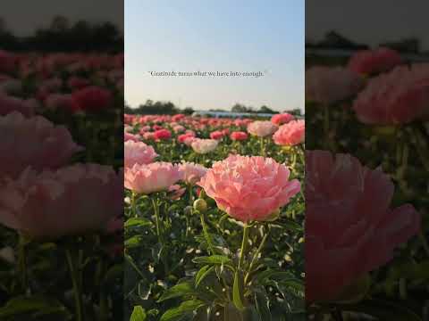 #ytshorts #ytviral #ytshortsindia #ytshort #viralshort #viralvideo #viralreels #motivation #quotes