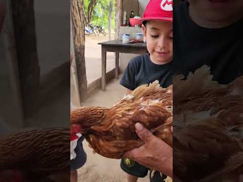 hola Amigos nuestros Días en Rivadavia Banda sur Salta#amoranimal