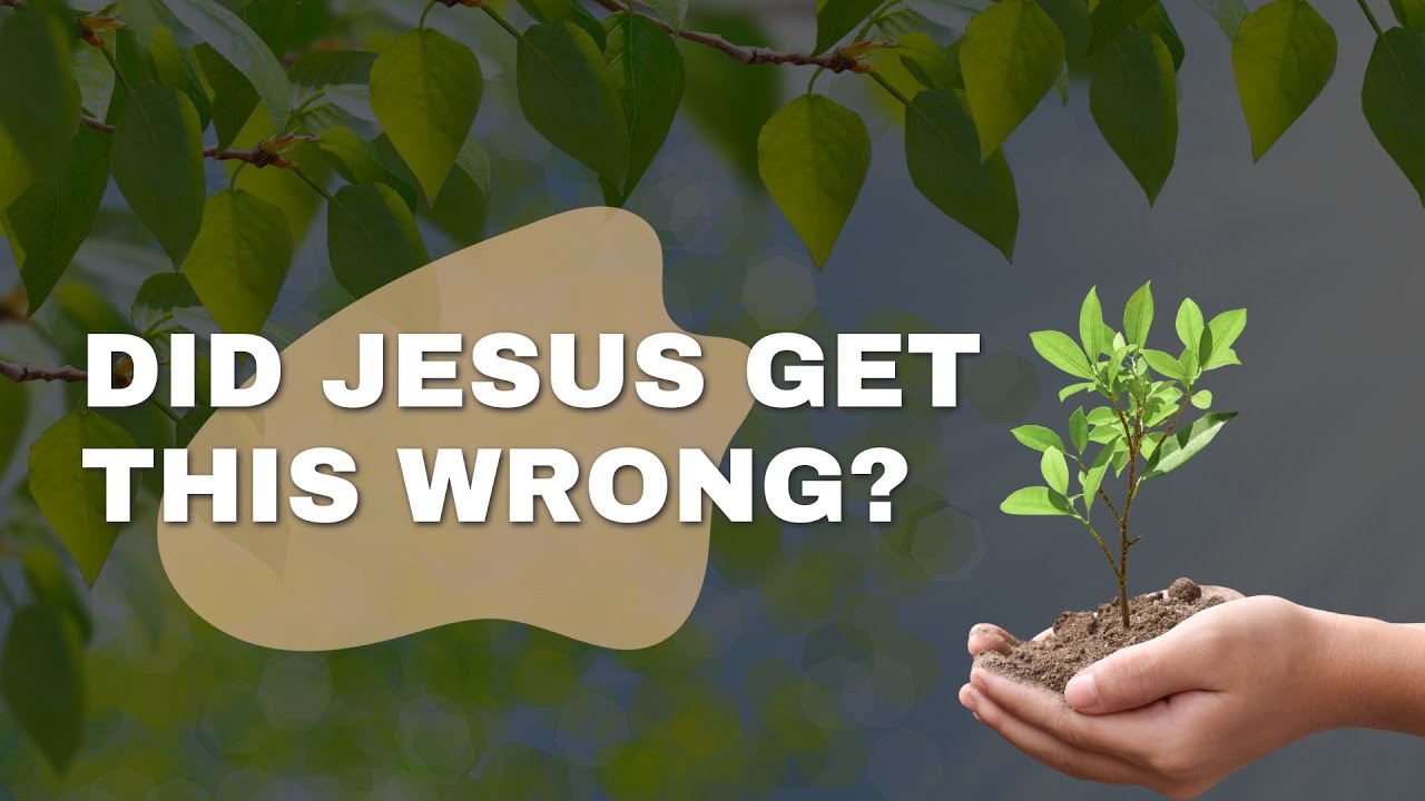 The FORCE of Christianity Explained by Jesus | Parables ep. 3