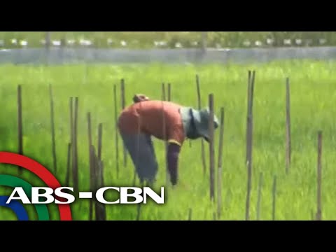 Dateline Philippines ANC (20 April 2024)