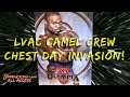 LVAC Camel Crew Chest Day Invasion