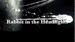 Rabbit in the Headlights - LORD TUSK