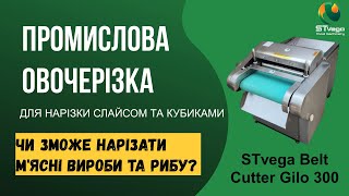 Нарізка слайсами, кубиками кабачкків, огірків, перцю vegetable cutting machine for sale - Image 5 | Machineryline NG New Нарізка слайсами, кубиками кабачкків, огірків, перцю vegetable cutting machine | Image 5 - Machineryline