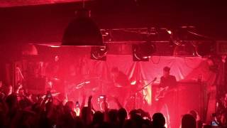 Gold Elephant Cherry Alligator - Twin Atlantic King tuts