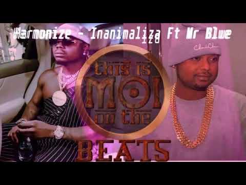 Harmonize ft mr blue ~inanimaliza (official video)