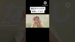 #shorts 寝起きヤシの木 木のスプーンで演奏してみた