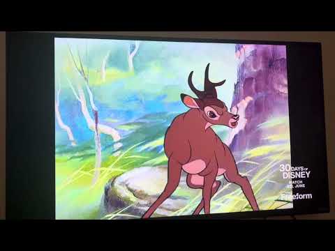 Bambi vs Ronno