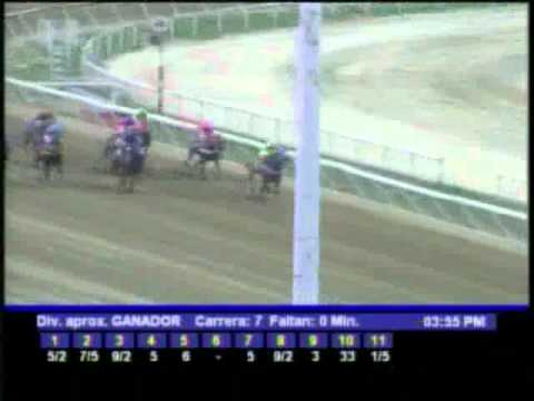 Resumen, Domingo 18 de Marzo de 2012 -La Rinconada