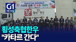 [G1뉴스]횡성축협한우 카타르 첫 수출..판로 확대