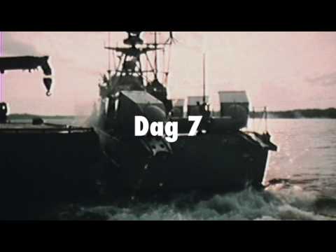 Skymningsläge - Sverige under kalla kriget