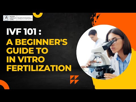 Understanding the IVF Process: How In Vitro Fertilization (IVF) Works ?