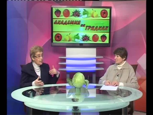 «Академия на грядках» от 26.12.2012 г.