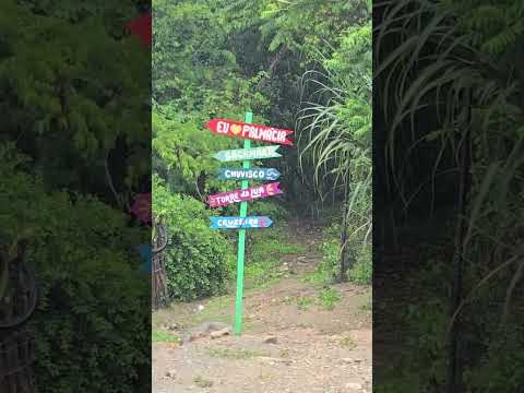 Chuva em Palmacia no Ceará 🌞🛣🐾 #trilha #trekking #viral #travel #camping