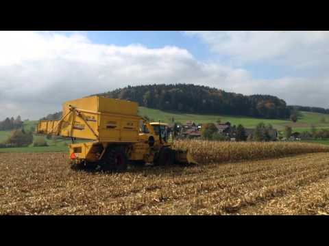 Maisernte mit NEW HOLLAND FX 58