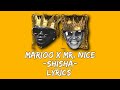 Marioo X Mr. Nice - Shisha (Official Lyrics Video)