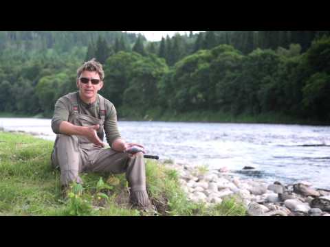 Sunray Shadow, Tool DH and Jim Fearn in action