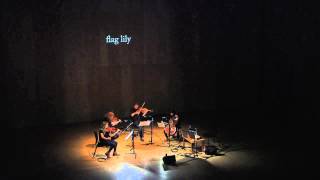Faster Than Sound: Richard Skelton & The Elysian Quartet