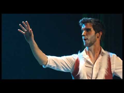 Reinaert de musical Trailer