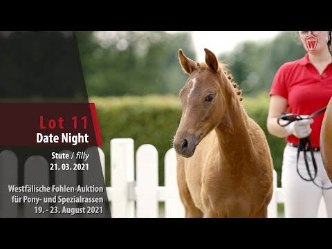 Fohlen-Auktion Lot 11 Date Night Stute v. Dating AT NRW - Molenhorn's Lucky Boy