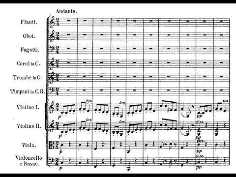 Haydn: Symphony No. 94 in G major "Surprise Symphony" (with Score)