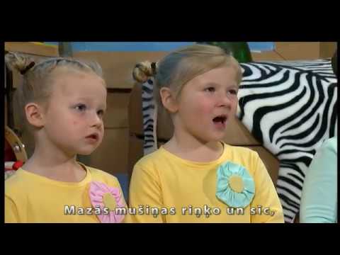 DZIEDI AR PUKŠU - "Mazās mušiņas" dzied "Jūras akmentiņi"