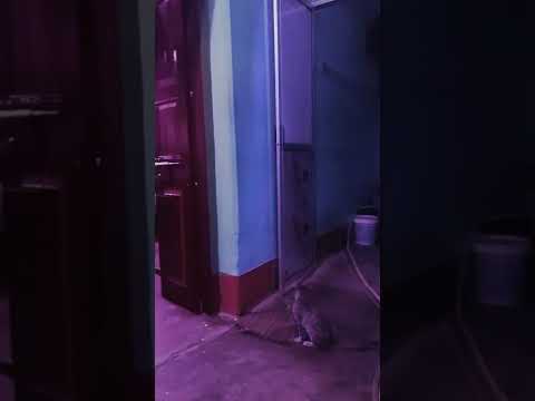 The hidden treasure  @dolanaretumidolanandyou5519