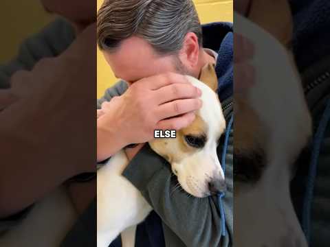 This Man Adopted a Deaf Dog