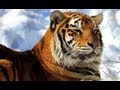 Save The Tiger - Relax Music - Musica Indiana ...