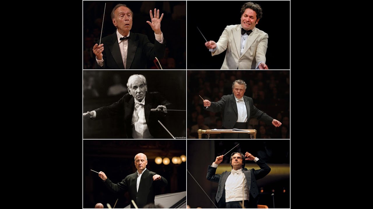 Beethoven: Symphony No. 3 'Eroica' Opening Comparison (35 Performances)