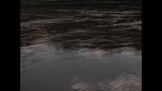 23º Doclisboa | Competição Portuguesa | Água Mãe | Hiroatsu Suzuki, Rossana Torres