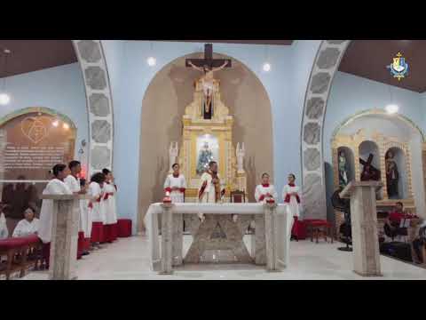 SANTA MISSA - Solenidade da Santíssima Trindade|31/05/2026 - 19H00