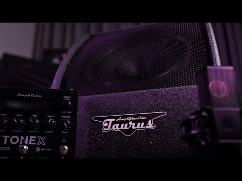Taurus FR-210.V2 FRFR Active Guitar Speaker Cabinet 10"/200Watt image 8