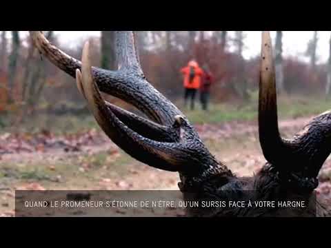 Plaidoyer contre la chasse