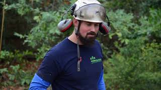 Album cover: Large Beech dismantle video