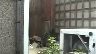 Washing machine praise dance