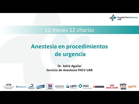 12 meses 12 charlas Anestesia en procedimientos de urgencia