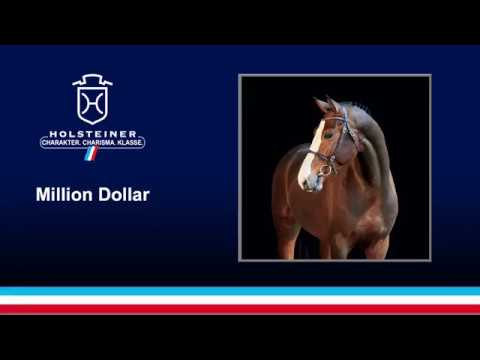 Million Dollar siegreich in Breitenburg