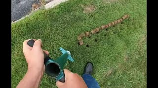 Propagating 🏡 Zoysia grass 🏡in an established lawn with ProPlugger tool DIY on the cheap save $$$