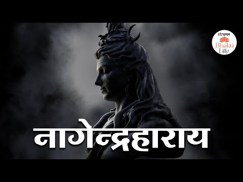 Nagendra Haraya I Meditate on the syllables of the Holy Mantra " Om Namah Shivay"  I  Bhakti Life