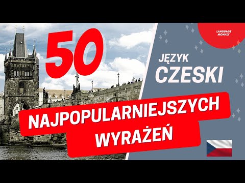 Nauka języka CZESKIEGO | Uczymy się 50 najpopularniejszych zwrotów po czesku.