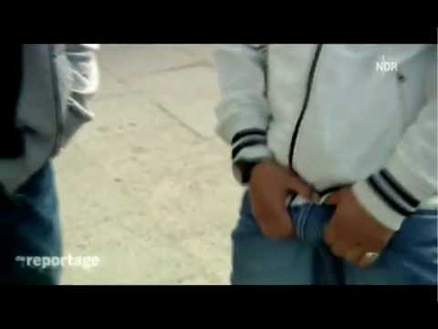 Schwanz auf den Tisch!