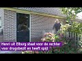Drugsverdachte Henri hoort vrijdag uitspraak: "Dit is een hele harde les"