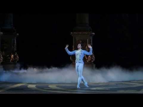 Maria Alexandrova / Maria Allash / Nikolai Tsiskaridze - The Sleeping Beauty