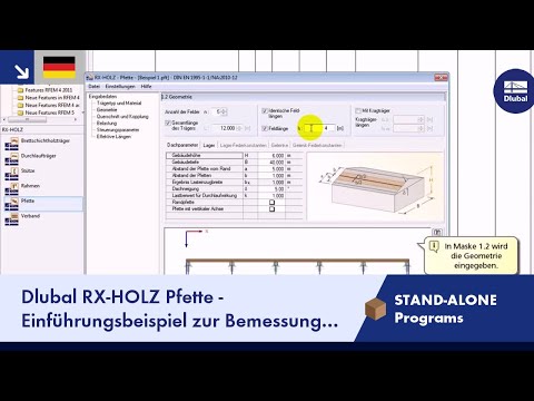 Dlubal RX-HOLZ Pfette - Einführungsbeispiel zur Bemessung einer Koppelpfette