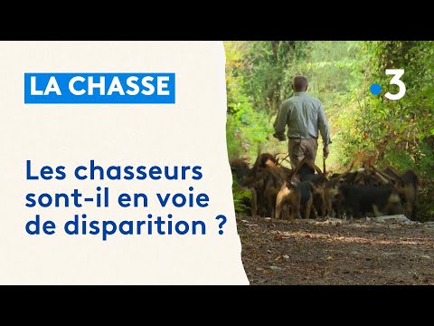 Chasse : les chasseurs sont-ils en voie de disparition ?