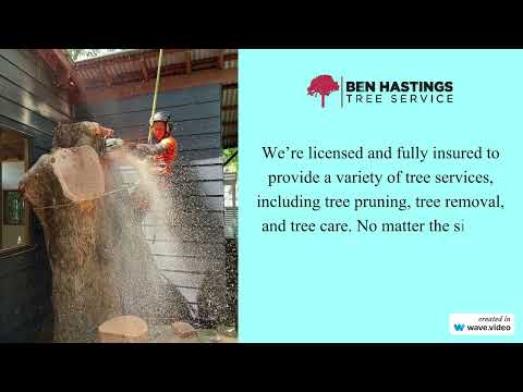 Stump Removal Central Coast - Ben Hastings Tree Service