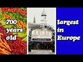 EUROPE'S LARGEST FRUIT & VEG MARKET 🍓🍊🍐🍎 | LEICESTER MARKET | EU'S LARGEST COVERED OUTDOOR MARKET |