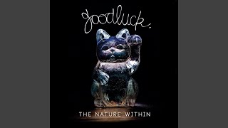 Find me in the Forest