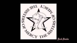 The Sisters Of Mercy - Driven Like The Snow (Album Version) 87